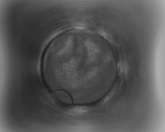 X0000088190292200705292018