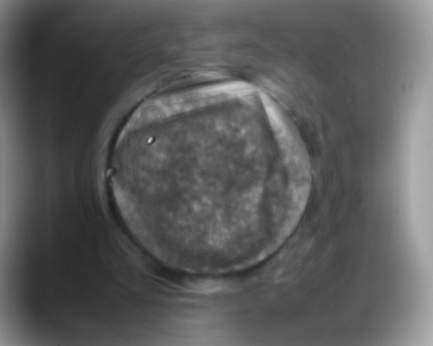 X0000088190293200705292018