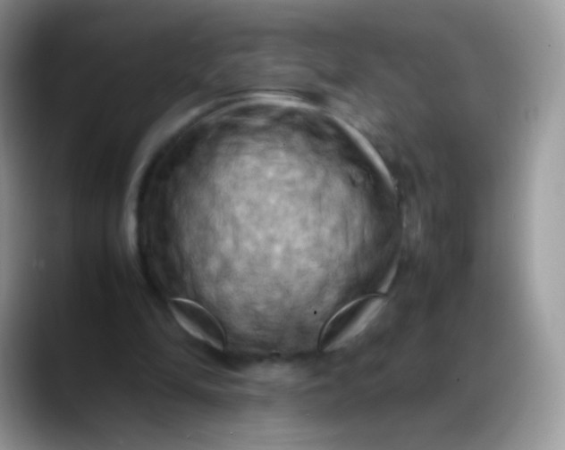 X0000088190294200705292018