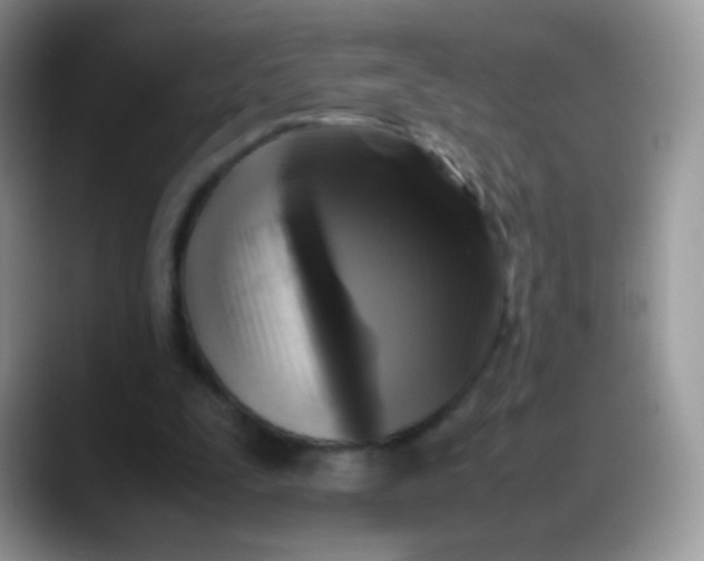 X0000088190295200705292018