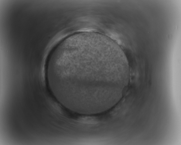 X0000088190296200705292018