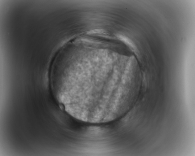 X0000088190298200705292018