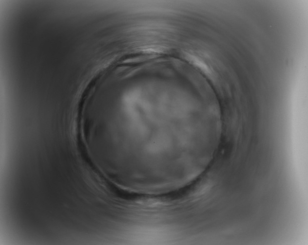 X0000088190299200705292018