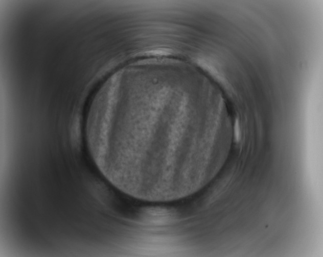 X0000088190300200705292017