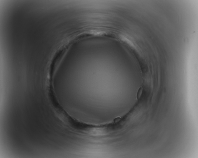 X0000088190303200705292017