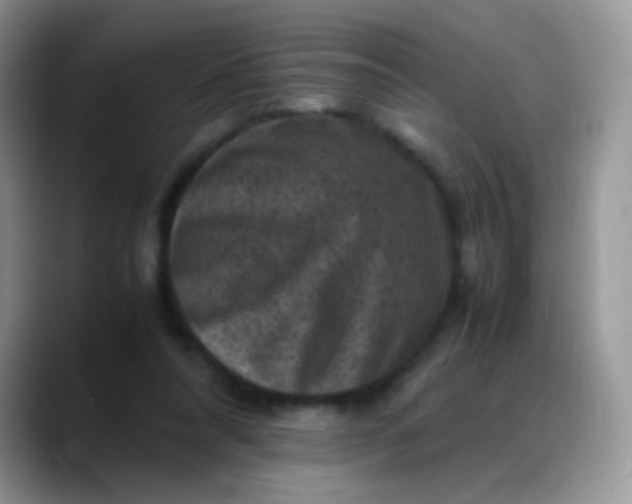 X0000088190304200705292017