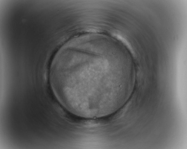 X0000088190305200705292017