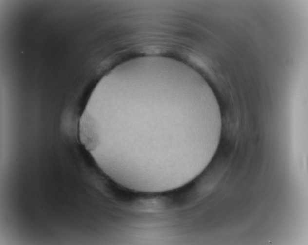 X0000088190307200705292017