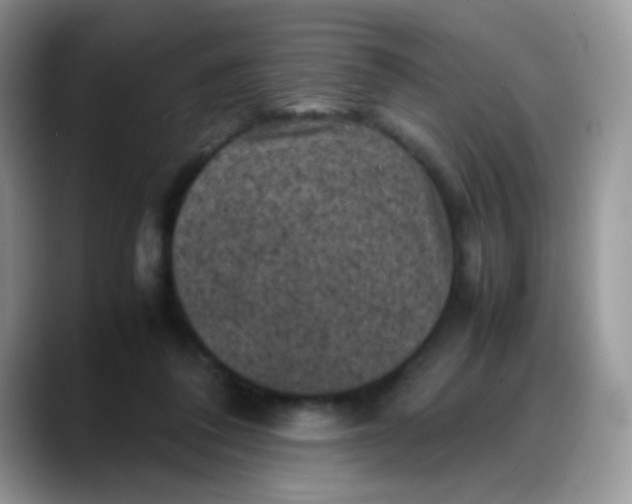 X0000088190308200705292017