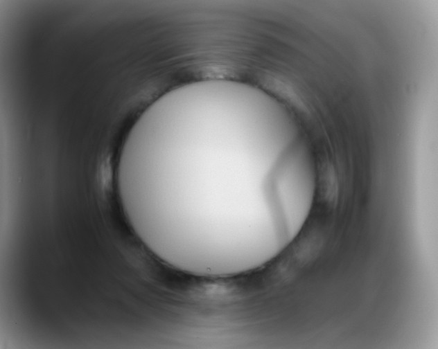 X0000088190310200705292017