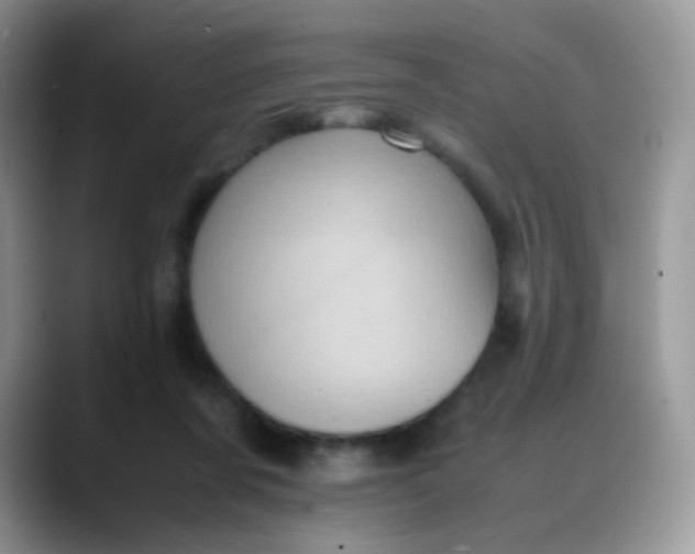 X0000088190311200705292017