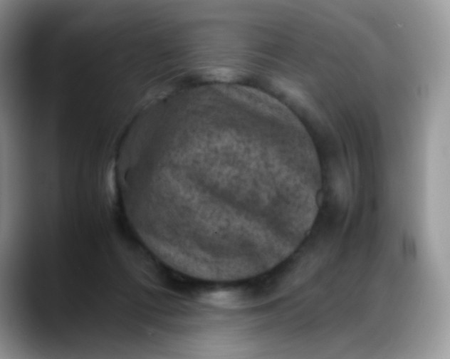 X0000088190312200705292017