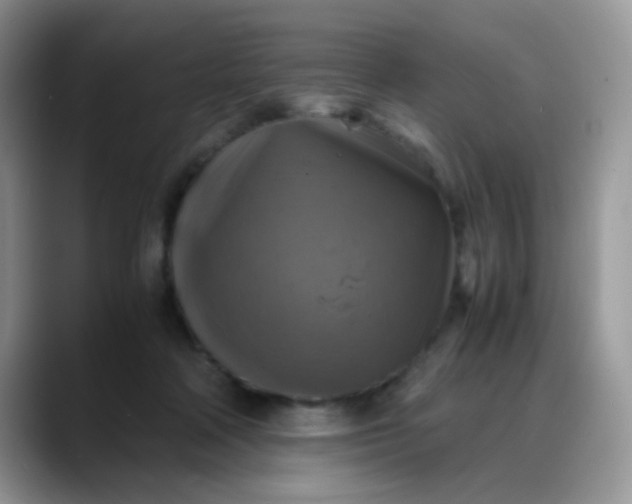 X0000088190314200705292017