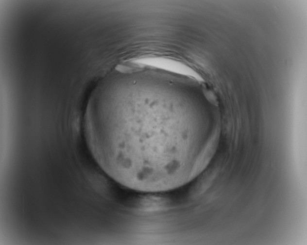 X0000088190315200705292017