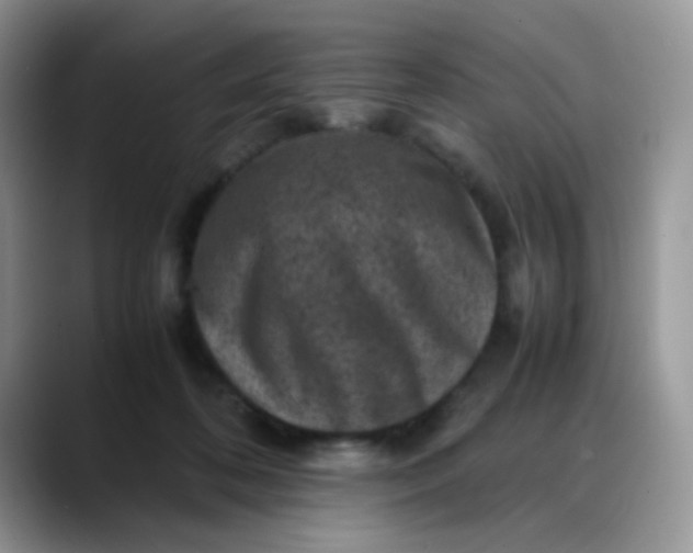 X0000088190316200705292017