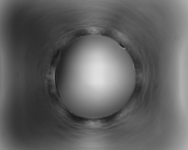 X0000088190317200705292017