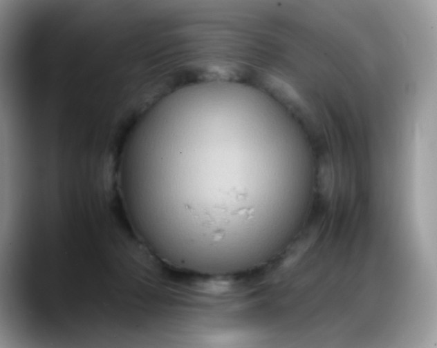 X0000088190318200705292017