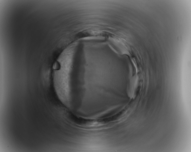 X0000088190319200705292017