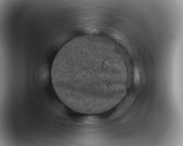 X0000088190320200705292017