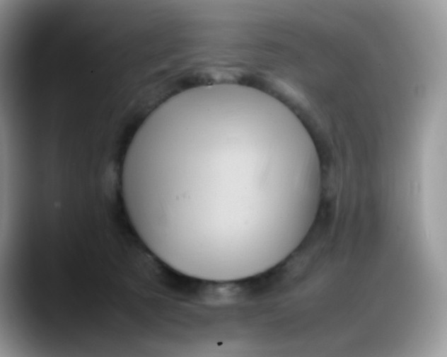 X0000088190321200705292017