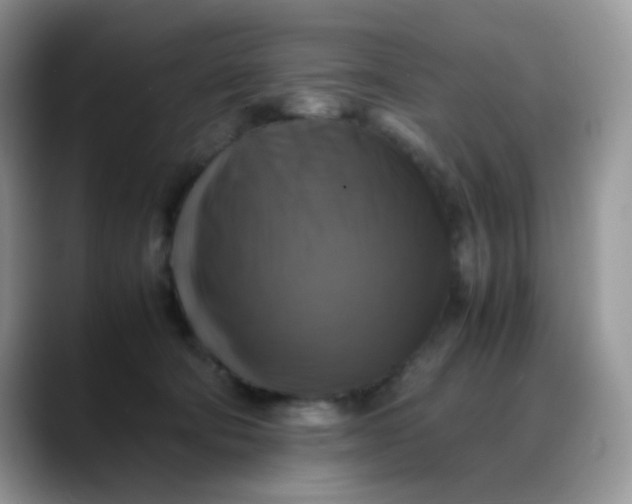 X0000088190322200705292017