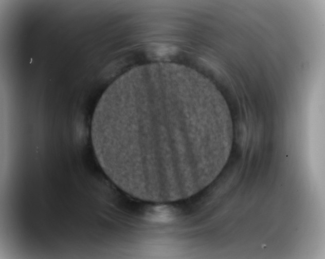 X0000088190324200705292017