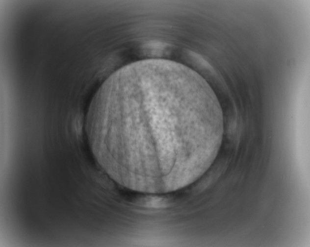 X0000088190326200705292017