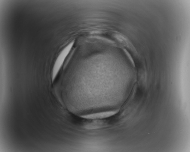 X0000088190329200705292017