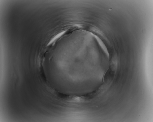 X0000088190330200705292017