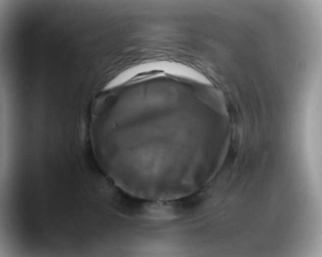 X0000088190331200705292017