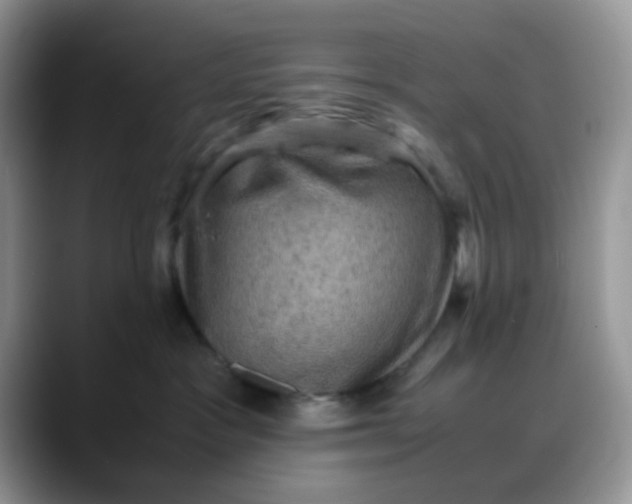 X0000088190333200705292017