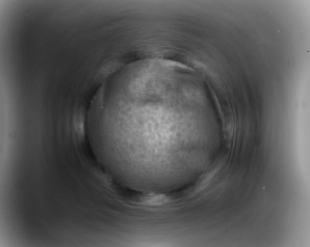 X0000088190334200705292017