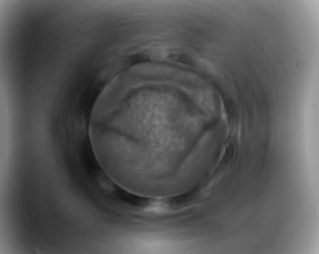 X0000088190335200705292017