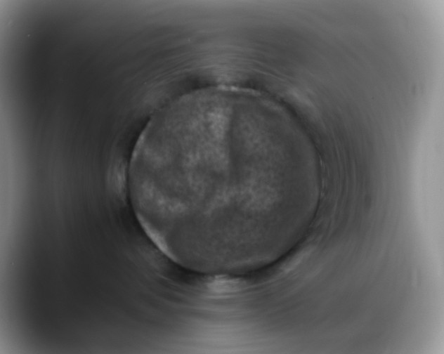 X0000088190336200705292017