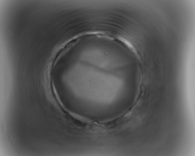 X0000088190337200705292016