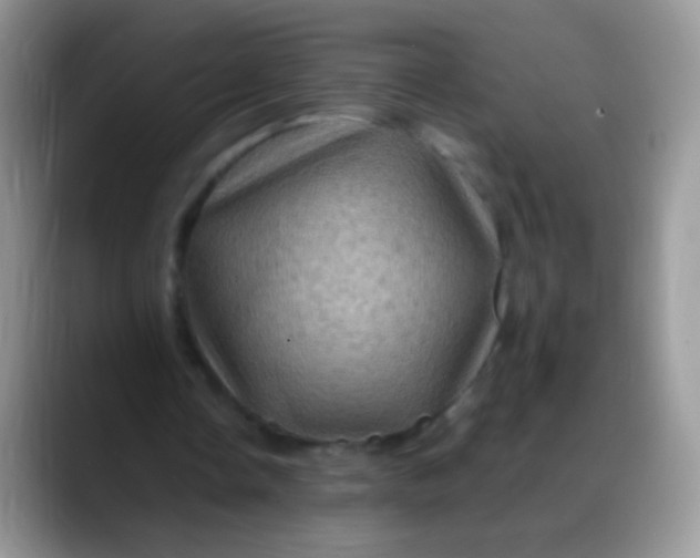 X0000088190338200705292016