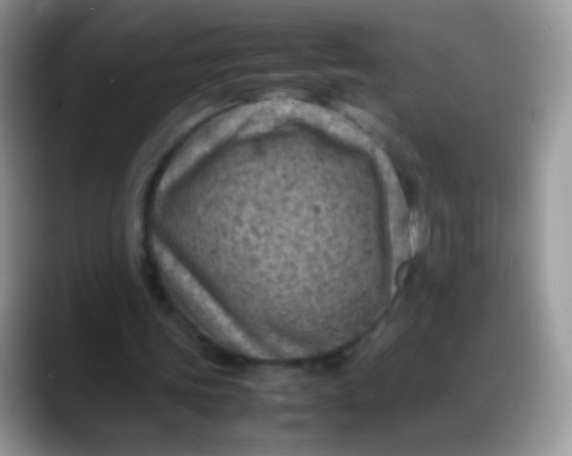 X0000088190339200705292016