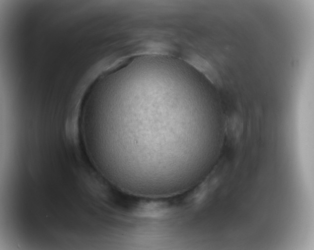 X0000088190340200705292016