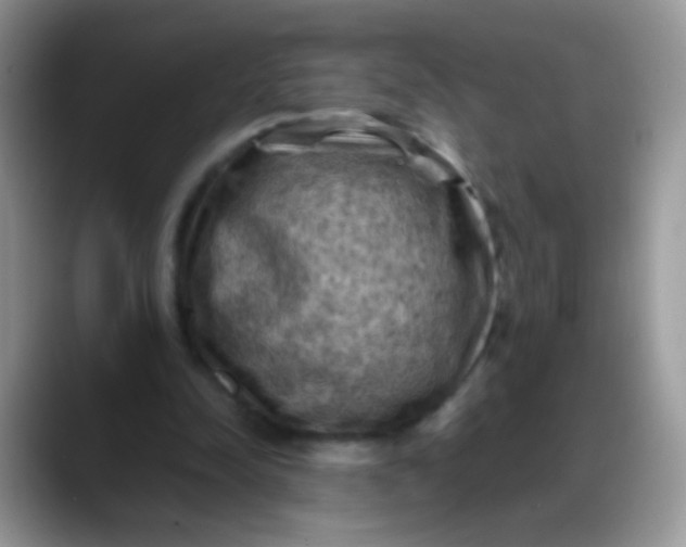 X0000088190342200705292016