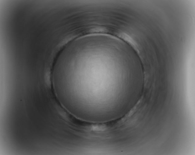 X0000088190345200705292017