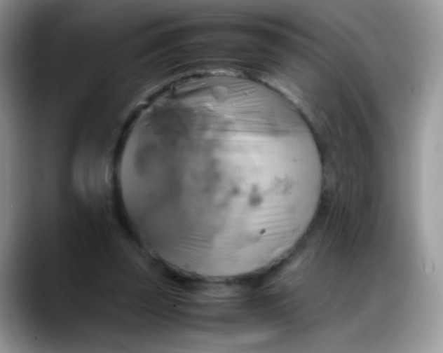 X0000088190347200705292017
