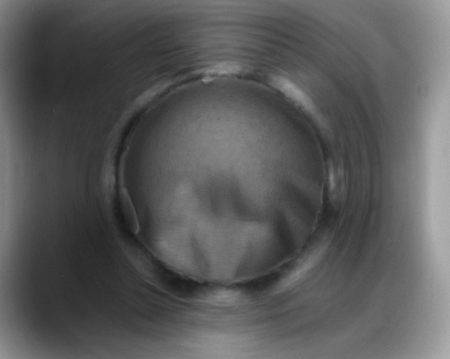 X0000088190348200705292017