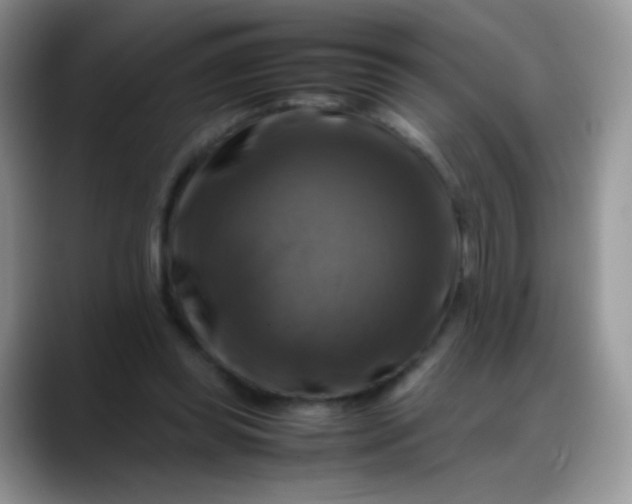 X0000088190349200705292017