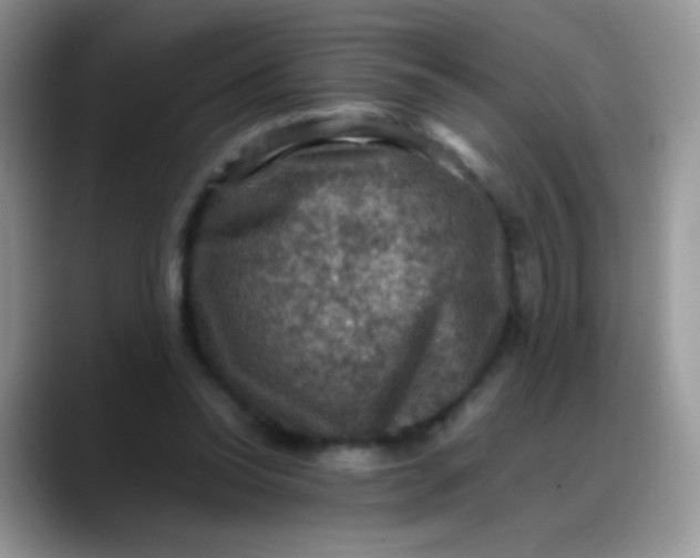 X0000088190350200705292017