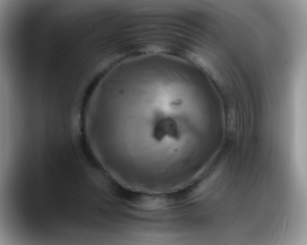 X0000088190351200705292017