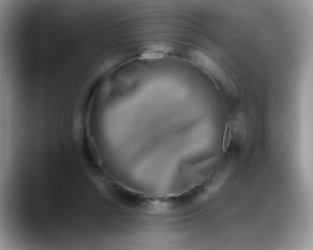 X0000088190352200705292017