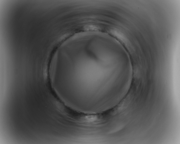 X0000088190353200705292017