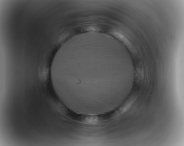 X0000088190355200705292017