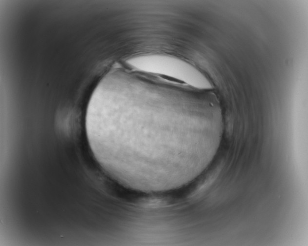 X0000088190356200705292017