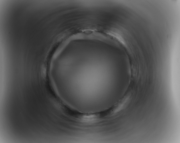 X0000088190357200705292017